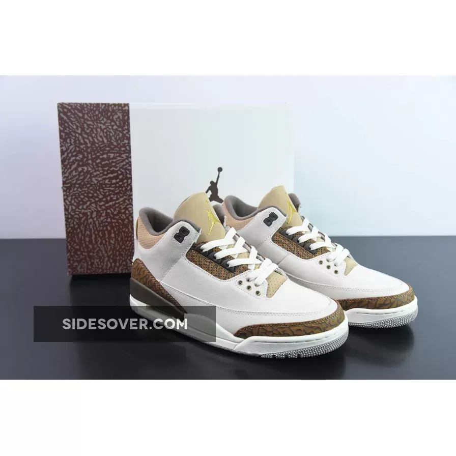 Air Jordan 3 Light Orewood Brown CT8532-102 Restock